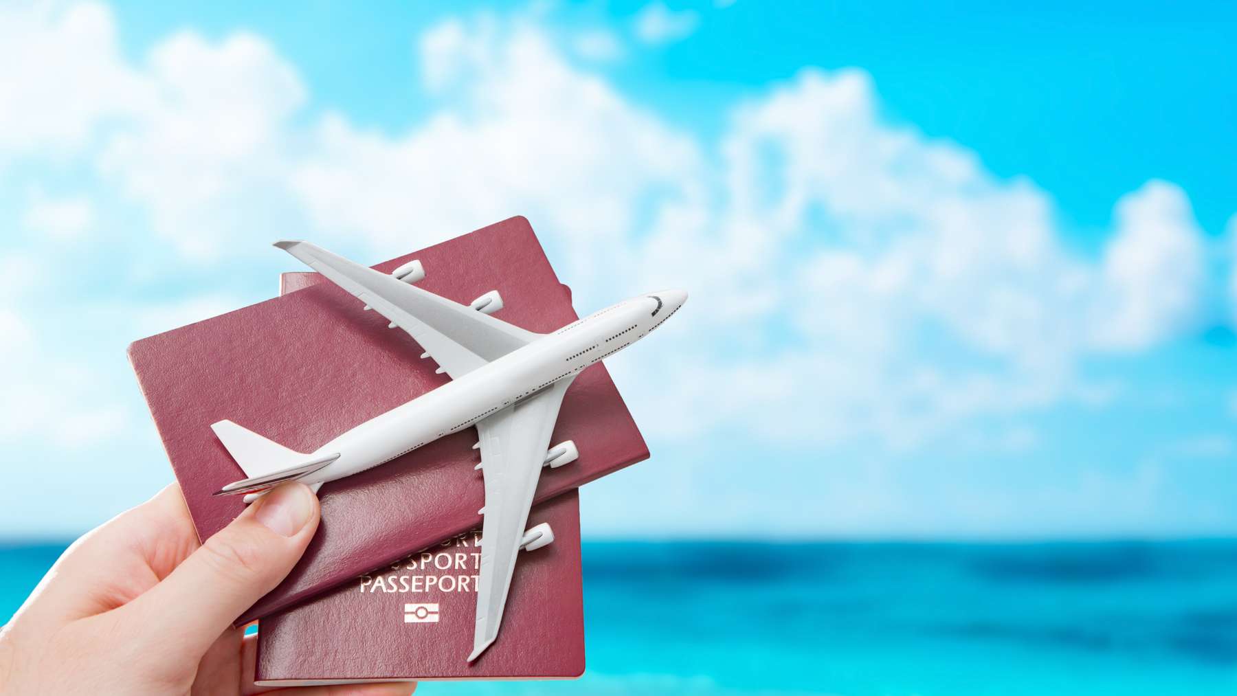 esim esims data conection travel data plan sim data esim esims ezim ezims