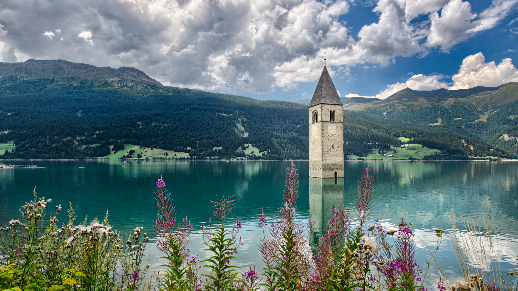 Social Buzz eSIM - Digital SIM card for global mobile connectivity, instant activation, affordable data plans, no physical SIM required, flexible international roaming, seamless mobile data solutions. 