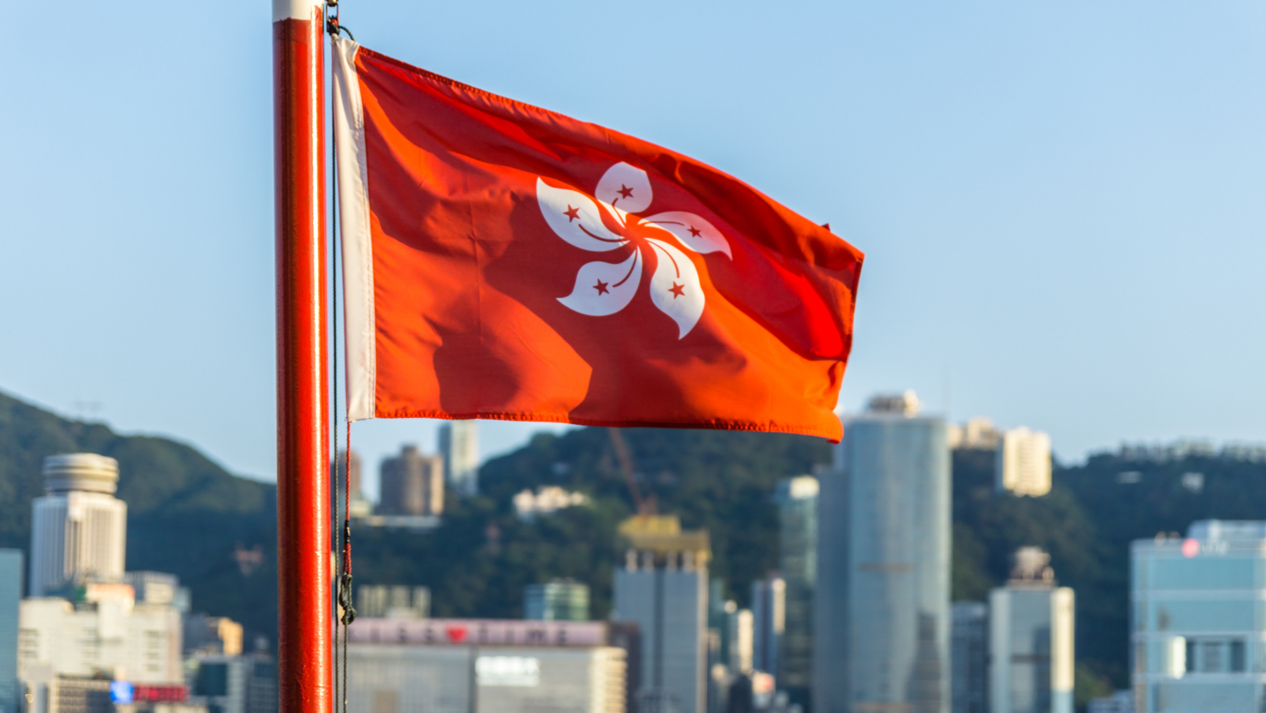 Social Buzz eSIM - Digital SIM card for global mobile connectivity, instant activation, affordable data plans, no physical SIM required, flexible international roaming, seamless mobile data solutions. 