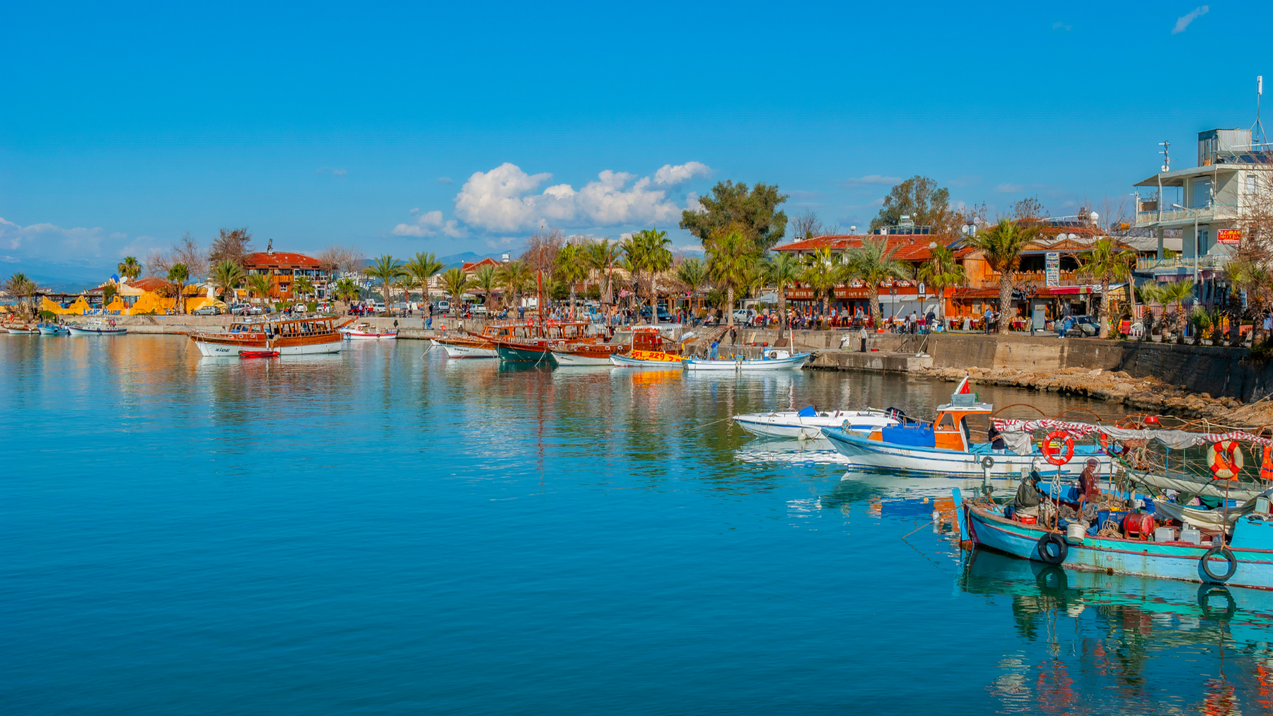 Social Buzz eSIM - Digital SIM card for global mobile connectivity, instant activation, affordable data plans, no physical SIM required, flexible international roaming, seamless mobile data solutions. 