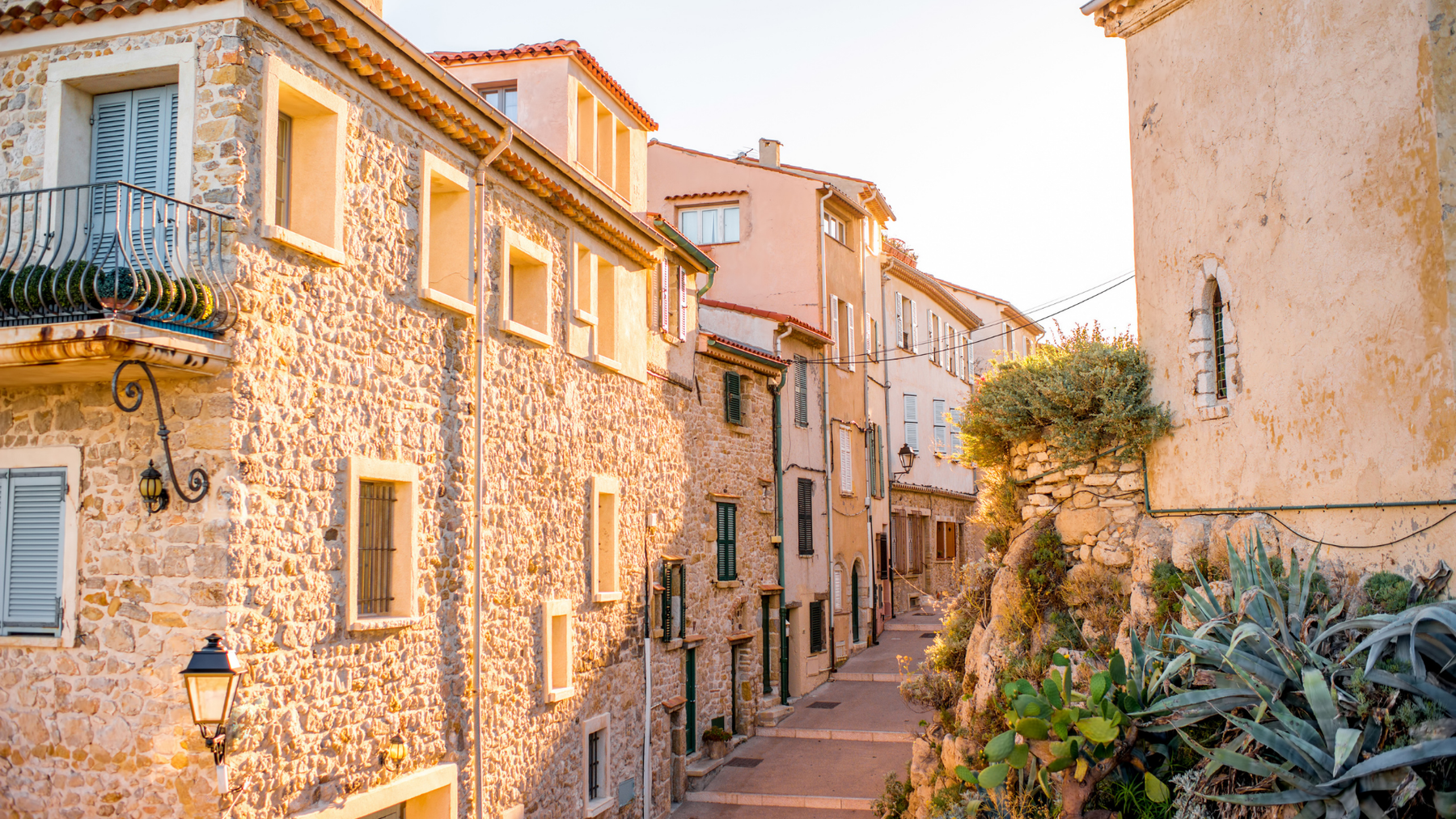 Social Buzz eSIM - Digital SIM card for global mobile connectivity, instant activation, affordable data plans, no physical SIM required, flexible international roaming, seamless mobile data solutions. 