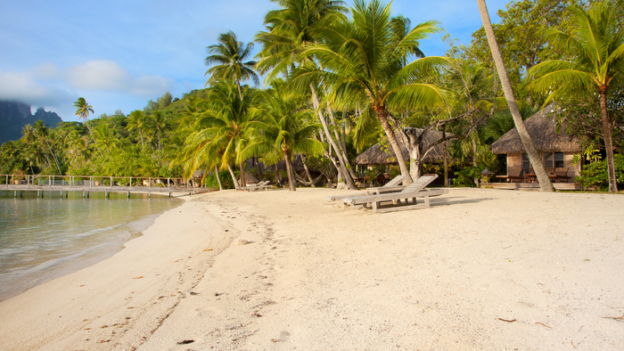 Social Buzz eSIM - Digital SIM card for global mobile connectivity, instant activation, affordable data plans, no physical SIM required, flexible international roaming, seamless mobile data solutions. 