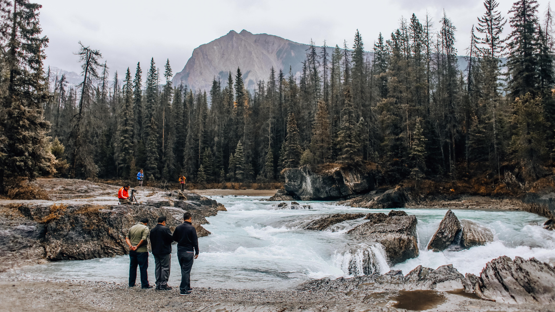 Social Buzz eSIM - Digital SIM card for global mobile connectivity, instant activation, affordable data plans, no physical SIM required, flexible international roaming, seamless mobile data solutions. 