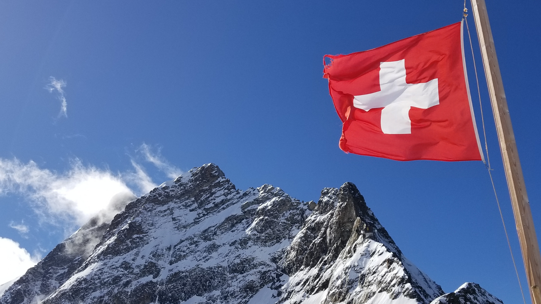 Social Buzz eSIM - Digital SIM card for global mobile connectivity, instant activation, affordable data plans, no physical SIM required, flexible international roaming, seamless mobile data solutions. 