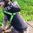 Winter Dog Clothes Fleece-lined Thickened Waterproof Jacket Hooded