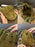20505537fae849d3b115433ede450391
