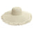 Big Brim Beach Sun Hat Women's Woven Brim Straw Hat