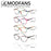 Gafas de lectura coloridas de ojo de gato para mujer, montura ovalada clásica, bisagra de resorte flexible, cómodas gafas de lectura con dioptrías
