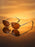 VIOLA MAG Luxury Vintage Cat Eye Sunglasses, High-Quality Vintage Glasses, Fashionable Irregular Style, Free Suede Storage Pouch