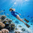 Mask Fins Snorkel Set 4 in 1 Panoramic View Dry Top Adjustable Short Dive Flippers Travel Bag Scuba Gear Diving Swimming Adults