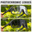 SCVCN New Outdoor Road Riding Cycling Sunglasses Sports Running Goggles Men's Mtb Bicycle Glasses Women Cycling Climbing Eyewear