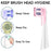 Cubiertas antipolvo para cabezales de cepillos de dientes compatibles con cabezales de repuesto Braun Oral B y protector de cabezales de cepillos de dientes eléctricos serie iO