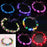 10pcs Adult Kids LED Glow Party Sequin Cat Bunny Crown Flower Headband Halo Light Up Wreath Hairband Birthday Gift Wedding