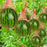 100 Pieces Heavy Duty Plastic Garden Protection Netting Non Electric for Vertical Planting Watermelon Melon Hammock with Straps