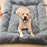 Adorable Rectangle Oversized Plush Dog Cat Bed Ultra Soft Polyester Pet Crate Pad Mat Sofa for All Size Cats Dogs