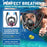 Snorkeling Mask Set, Adult Swimming Fins Set, Silicone Fins, Universal and Adjustable—Snorkeling Gear for a Summer of Fun