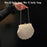 Shell-shaped Crossbody Shoulder Tote Bag For Women